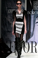 borodd2010_34