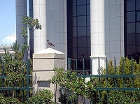 ashg9_021