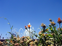 ashg9_023