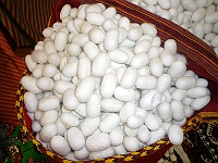 ashg9_097