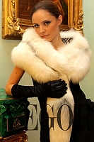 dmych2010_013