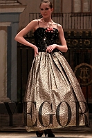 dmych2010_028