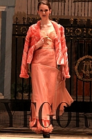 dmych2010_039