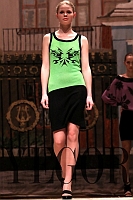 dmych2010_047