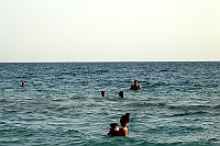 DSC06504