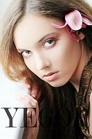 puve30109_12